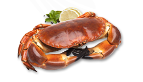 SARL Laurenti & Fils : vente homards & langoustes à Saint-Méloir-des-Ondes près de Saint-Malo (35) 